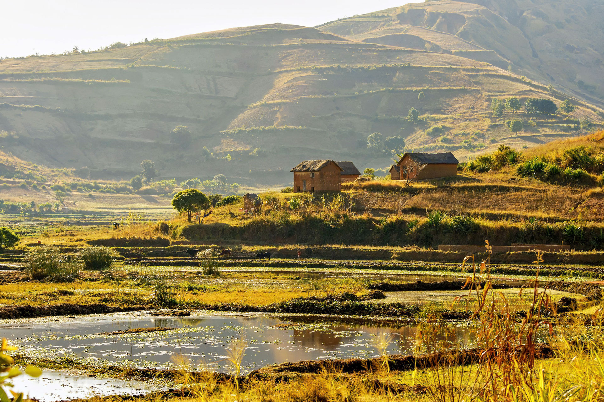 Dorf am Ufer des Itasy-Sees